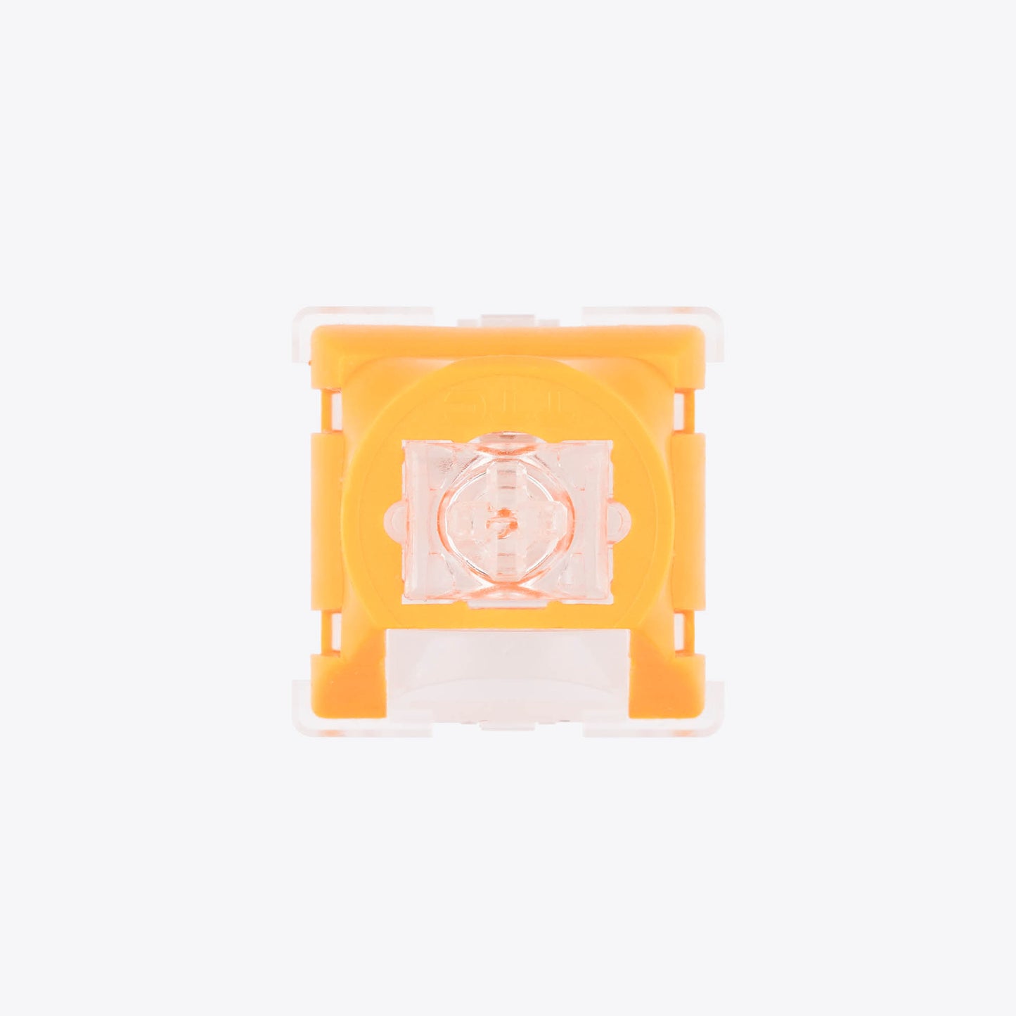 TTC Venus
