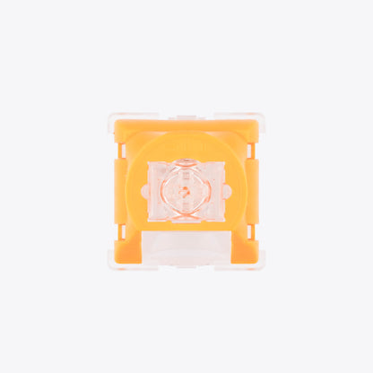 TTC Venus
