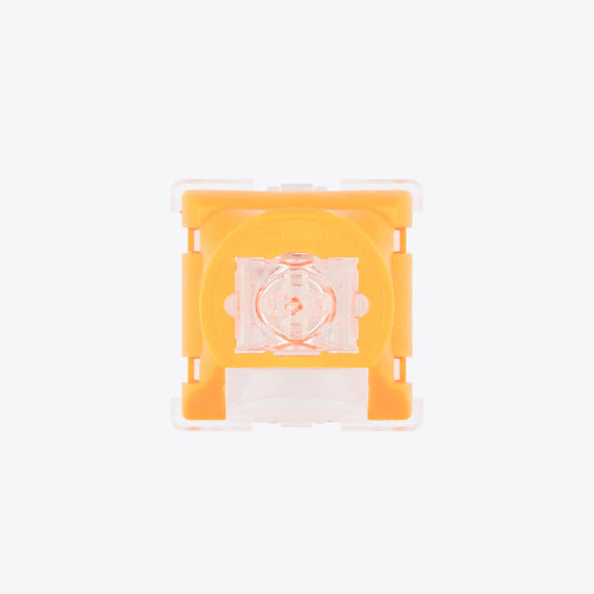 TTC Venus